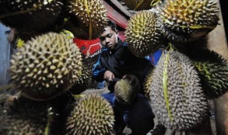 Durian Pandeglang