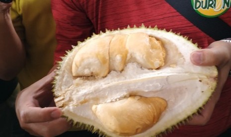 Durian Super Tembaga Bangka.