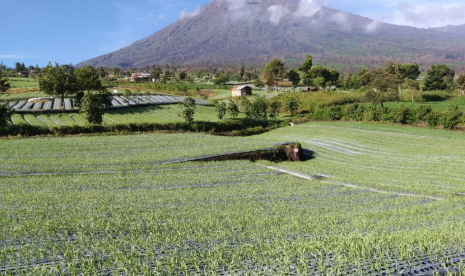 Early Warning System (EWS) memprediksi ketersediaan komoditas pangan pokok selama tiga bulan ke depan khususnya untuk komoditas cabai, bawang merah dan bawang putih yang dinilai sering memicu inflasi.