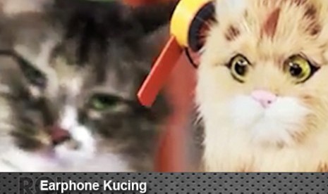 Earphone Kucing