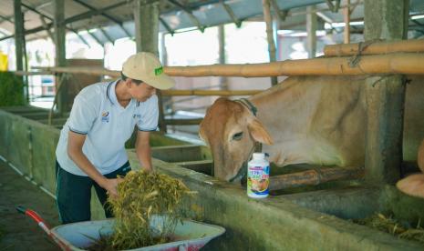 Edufarm di Desa Sumbersari, Kecamatan Sambeng, Kabupaten Lamongan