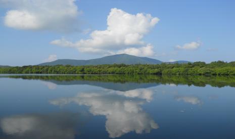 Ekosistem Blue Carbon, Indonesia dapat menyimpan hingga 17 persen dari cadangan Blue Carbon dunia sehingga memiliki peranan yang sangat penting dalam mengurangi perubahan iklim.