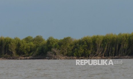 Ekosistem mangrove yang rusak akibat abrasi di perairan Serang, Banten (ilustrasi). Kementerian Kelautan dan Perikanan menyatakan siap bergerak untuk memulai program bersama dalam mengembangkan Ekosistem Mangrove Nasional. 