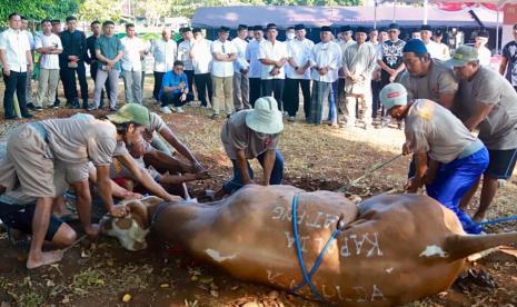 elaksanaan Kurban Presisi tingkat Polda Jawa Tengah, pada hari raya Idul Adha 1444 Hijriyah (2023), Kamis (29/6/2023).  Kurban Presisi yang dilaksanakan serentak di lingkungan Polda Jawa Tengah ini  memotong 80 hewan kurban, yang terdiri atas 17 ekor sapi dan 63 ekor kambing.