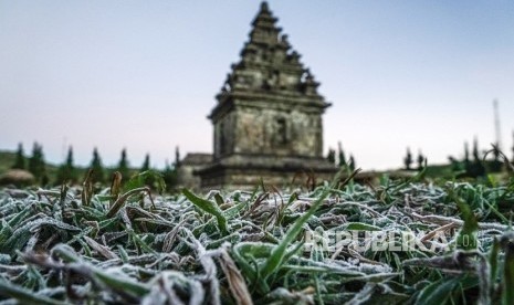 Embun beku yang muncul akibat penurunan suhu hingga minus di Dieng, ilustrasi