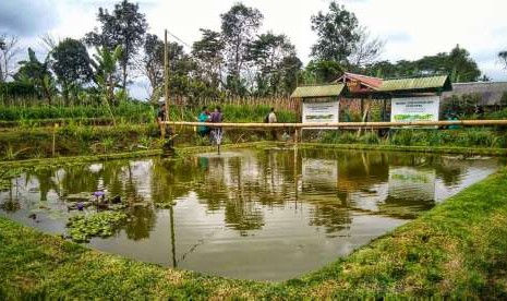 Embung milik petani I Wayan Arsa di Desa Antapan, Kecamatan Baturiti, Kabupaten Tabanan. Embung berkapasitas total 72 meter kubik ini mampu mengairi 6000 meter persegi sawah.