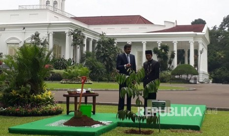 Emir Qatar Syekh Tamim bin Hamad Al Thani bersama Presiden Joko Widodo menanam pohon Eboni di halaman belakang istana negara,Bogor (18/10). 