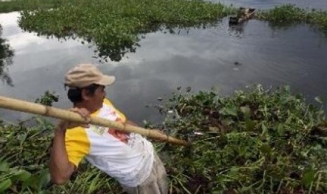 enceng gondok di Danau Tondano