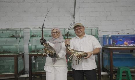 Erzaldi Rosman saat kunjungannya hari Selasa (17/1/23) ke Kampung Lobster Dive Club yang berada di Desa Bangsring, Kecamatan Wongsorejo, Banyuwangi, Jawa Timur, untuk melihat secara langsung siklus hulu-hilir potensi pengembangan budidaya lobster yang berbasis lingkungan, untuk pemanfaatan perekonomian yang memberdayakan masyarakat.