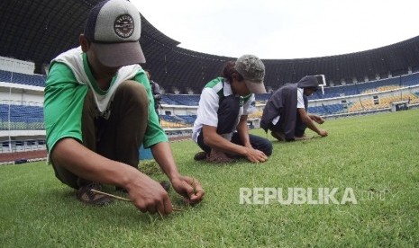 etugas rumput mencabuti rumput liar di Stadion Gelora Bandung Lautan Api (GBLA) di daerah Gedebage, Kota Bandung, Rabu (10/2).  (Republika/Edi Yusuf)