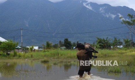  Evakuasi Hewan Ternak. Seorang warga mengevakuasi hewan ternak miliknya akibat banjir bandang Sentani di Sentani, Jaya Pura, Papua, Selasa (19/3/2019). 