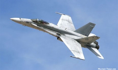 F/A 18 Hornet