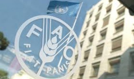 Organisasi Pangan dan Pertanina Dunia (FAO). Dua badan pangan Perserikatan Bangsa Bangsa (PBB) mengeluarkan peringatan keras pada Senin(6/6/2022) tentang berbagai krisis pangan yang mengancam.