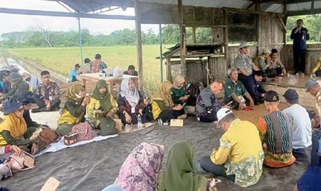 Farmer Field Day merupakan forum pertemuan petani, peneliti dan penyuluh untuk saling tukar-menukar informasi tentang teknologi yang dihasilkan oleh peneliti dan umpan balik dari petani, mengenai bahan pupuk organik berikut manfaat dan keunggulannya serta diaplikasikan guna mendukung penuh pelaksanaan Genta Organik.