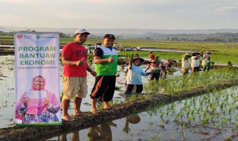 Fasilitator Rumah Zakat memonitor secara langsung proses panen KUBE Petani Berdaya. 