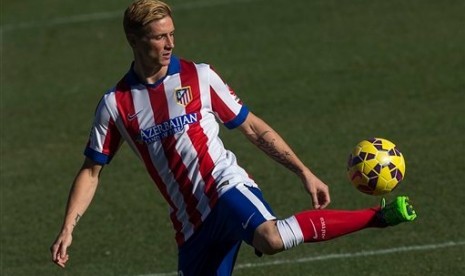 Fernando Torres