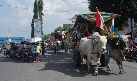 Festival Gerobak Sapi menjadi acara pariwisata tahunan yang diselenggarakan Pemkab Sleman, Yogyakarta.