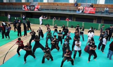 Festival Pencak Silat Indonesia 