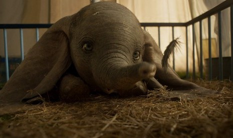 Film Dumbo