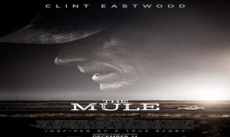 Film The Mule