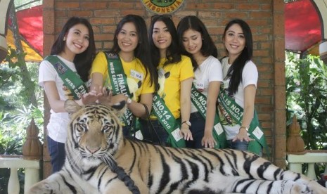 Finalis Miss Earth mendapatkan pembekalan cinta lingkungan dan satwa di Taman Safari Indonesia.