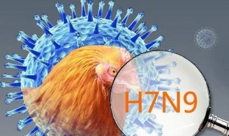 Flu Burung jenis H7N9.