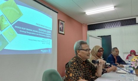 Focus Group Discussion 'Respons Cepat Invasi Ulat Grayak Jagung, di kampus IPB, Darmaga, Bogor, Senin (15/7).