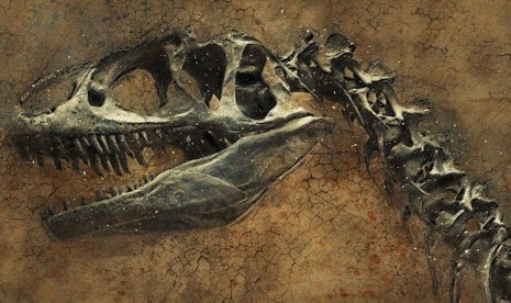 Fosil dinosaurus. ilustrasi