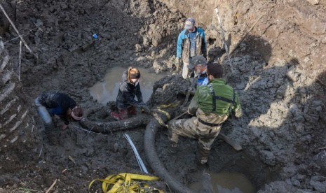 Fosil gajah mamut di Michigan, AS