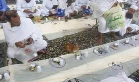 Foti, kucing yang menanti berbuka puasa di Masjidil Haram, Makkah, Arab Saudi. 