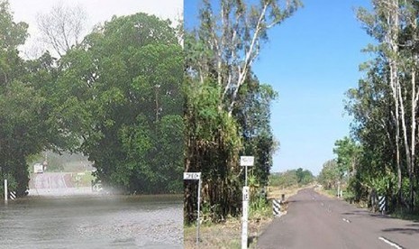 Foto dari warga setempat menunjukkan kondisi pepohonan di kawasan suci Aborigin sebelum dan setelah dilakukan pekerjaan pemangkasan pohon.