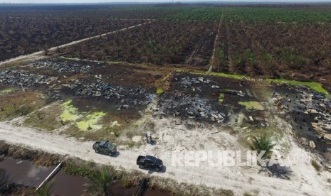 Foto kebakaran lahan milik PT APSL di Riau.