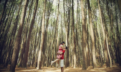 Hutan Pinus di Kragilan, Magelang menjadi salah satu destinasi wisata yang banyak dikunjungi untuk berswafoto.