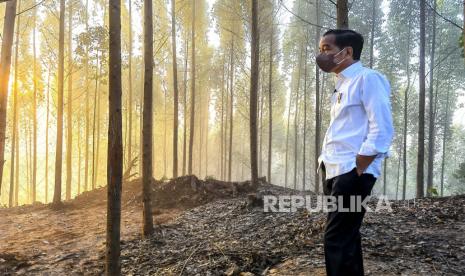  Foto selebaran yang disediakan oleh Istana Kepresidenan menunjukkan Presiden Joko Widodo memeriksa lokasi ibu kota baru saat matahari terbit di Penajam Paser Utara, Kalimantan Timur, 15 Maret 2022. Indonesia sedang bersiap untuk membangun ibu kota masa depan di Kalimantan Timur.