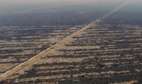 Foto tanggal 10 Agustus 2015 tentang kondisi lahan yang hangus terbakar di konsesi perusahaan kelapa sawit PT Langgam Inti Hibrido (LIH) di Kabupaten Pelalawan, Riau, menjadi barang bukti kepolisian dalam kasus kebakaran lahan di Riau.