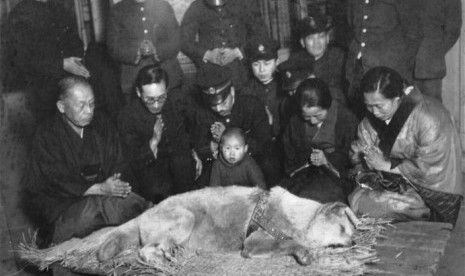 Foto terakhir anjing Hachiko