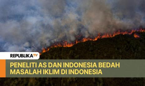 Foto udara api membakar lahan gambut di Pedamaran, Ogan Komering Ilir (OKI), Sumatera Selatan, Senin (18/9/2023).