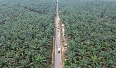 Foto udara jalur alternatif mudik lintas barat Jambi-Sumbar di Petajen, Bajubang, Batanghari, Jambi (ilustrasi). Pemerintah Provinsi Jambi mempersiapkan posko pengamanan di jalur mudik dalam wilayah Provinsi Jambi yang didirikan selama arus mudik dan arus balik tahun 2022.