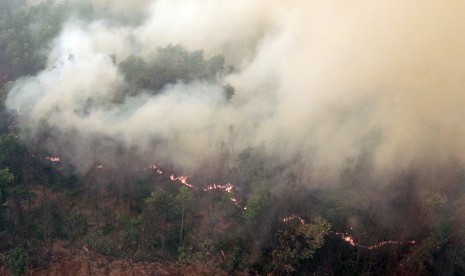 Foto udara kebakaran lahan di Kabupaten Ogan Komering Ilir (OKI), Sumsel, Selasa (20/10). 