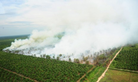 Foto udara kebakaran lahan di Kabupaten Kubu Raya, Kalbar, Kamis (25/8/2016). Titik panas di Kalbar menurun drastis berkat hujan lebat di semua kabupaten/kota. 