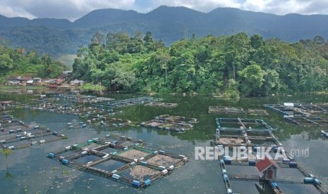 Foto udara keramba jaring apung (KJA), Linggai, Danau Maninjau, Kab.Agam, Sumatera Barat, Jumat (7/2). Permintaan ikan air tawar di Danau Maninjau, Kabupaten Agam, Sumatra Barat (Sumbar) pada awal Ramadhan 1442 H mencapai 40 ton.