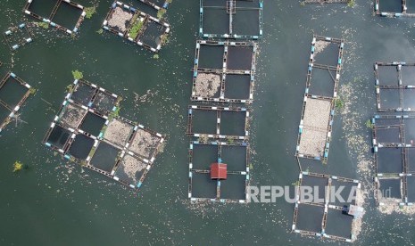 Komunitas Pemuda Generasi Hamka (KPGH) Tanjung Raya menggelar festival menangkap ikan Rinuak, Kamis (31/12) kemarin. Festival peduli lingkungan ini bertujuan untuk melestarikan Danau Maninjau dari pencemaran.