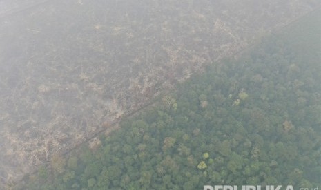 Foto udara lahan hutan Taman Nasional Sebangau yang telah terbakar di Palangka Raya, Kalimantan Tengah, Kamis (19/9/2019). 