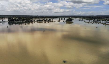 Foto udara lahan pertanian yang terendam banjir di Kecamatan Padaherang, Kabupaten Pangandaran, Jawa Barat. Ratusan hektare lahan pertanian di Kecamatan Padaherang dan Kecamatan Kalipucang, Kabupaten Pangandaran, kerap dilanda banjir akibat luapan Sungai Citanduy.