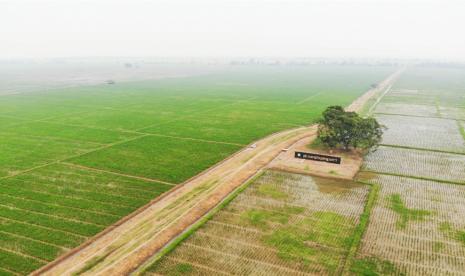 Foto udara lahan PT Sang Hyang Seri di Sukamandi.