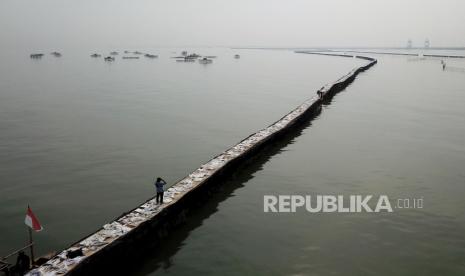 Foto udara pagar laut terlihat di perairan Kampung Pulau Cangkir, Kronjo, Kabupaten Tangerang, Banten, Jumat (10/1/2024). Pagar laut di pesisir Laut Tangerang, Banten itu terbentang sepanjang 30,16 kilometer.