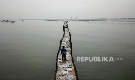 Foto udara pagar laut terlihat di perairan Kampung Pulau Cangkir, Kronjo, Kabupaten Tangerang, Banten, Jumat (10/1/2024). Pagar laut di pesisir Laut Tangerang, Banten itu terbentang sepanjang 30,16 kilometer.