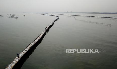 Foto udara pagar laut terlihat di perairan Kampung Pulau Cangkir, Kronjo, Kabupaten Tangerang, Banten, Jumat (10/1/2024). Pagar laut di pesisir Tangerang itu terbentang sepanjang 30,16 kilometer.