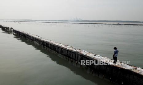 Foto udara pagar laut terlihat di perairan Kampung Pulau Cangkir, Kronjo, Kabupaten Tangerang, Banten, Jumat (10/1/2024). Pagar laut di pesisir Laut Tangerang, Banten itu terbentang sepanjang 30,16 kilometer.