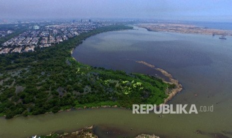  Foto udara pembangunan reklamasi pulau C dan D (kanan) di Pantai Indah Kapuk, Jakarta, Rabu (6/4).